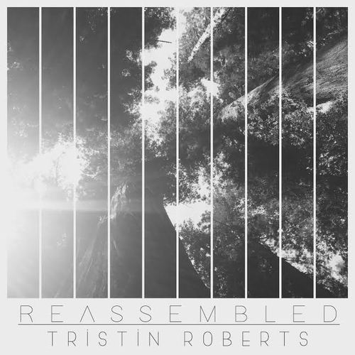 Reassembled Cover Art Blurred Background