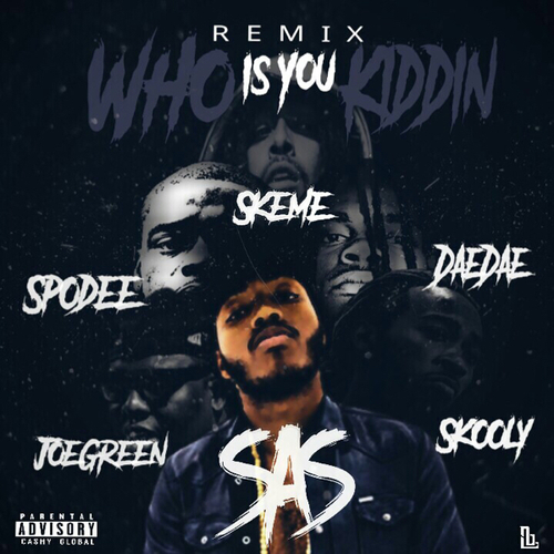 Who Is You Kiddin Remix Cover Art Blurred Background