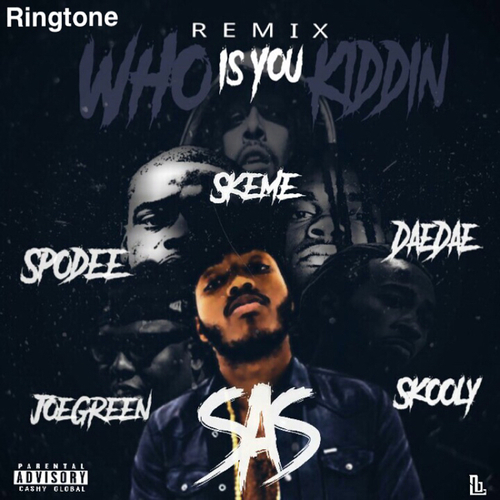 Who Is You Kiddin Remix Cover Art Blurred Background
