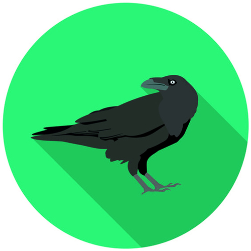 Crow Cover Art Blurred Background