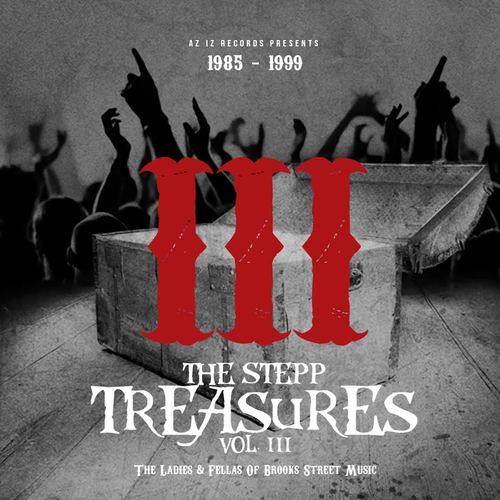 The Stepp Treasures, Vol. 3 (The Ladies & Fellas of Brooks Street Music 1985-1999) Cover Art Blurred Background