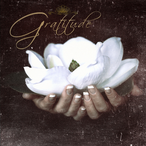 Gratitude Cover Art Blurred Background