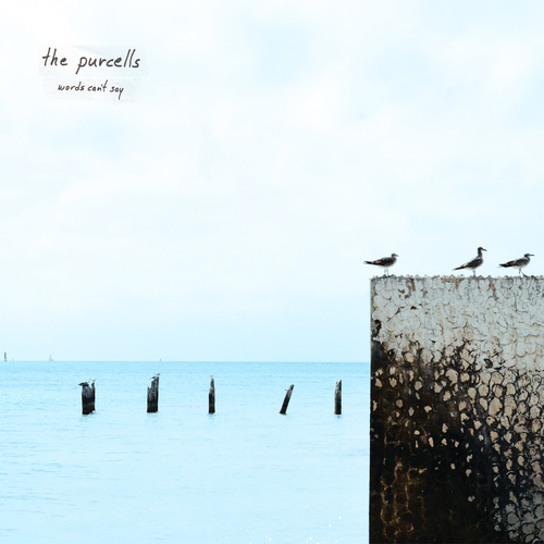 Words Can't Say Cover Art Blurred Background