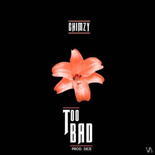Too Bad Cover Art Blurred Background