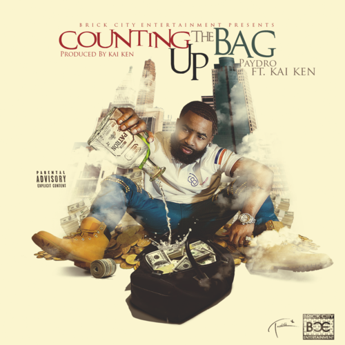 Counting Up the Bag Cover Art Blurred Background