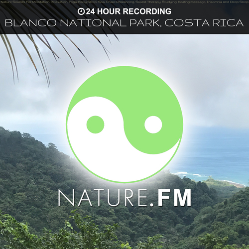 24 Hour Recording: Blanco National Park, Costa Rica (Nature Sounds for Meditation, Relaxation, Yoga, Baby Sleep, Spa, Chakra Balancing, Sound Therapy, Studying, Healing Massage, Insomnia and Deep Sleep) Cover Art Blurred Background