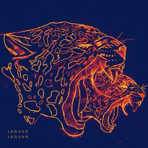 Jaguar Jaguar Cover Art Blurred Background