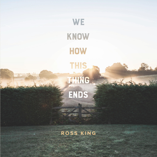 We Know How This Thing Ends Cover Art Blurred Background