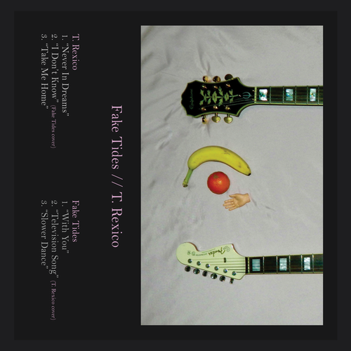 Fake Tides // T. Rexico Cover Art Blurred Background
