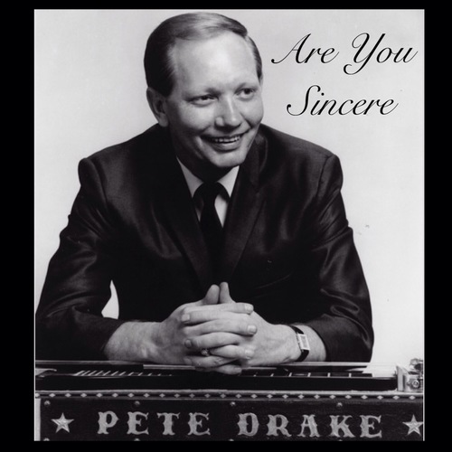 Are You Sincere Cover Art Blurred Background