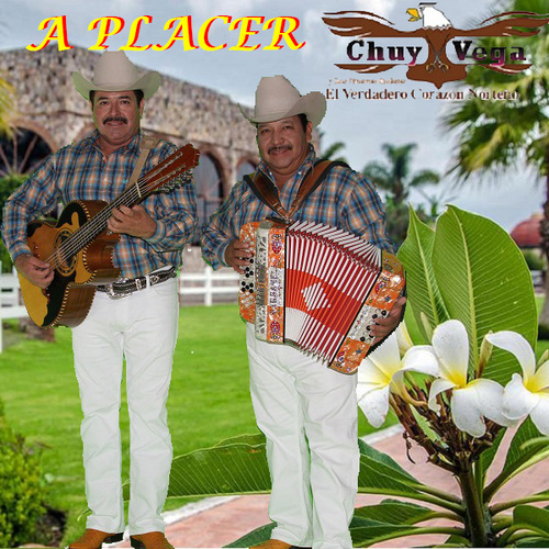 A Placer Cover Art Blurred Background