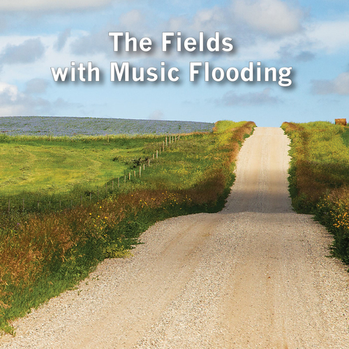 The Fields with Music Flooding Cover Art Blurred Background