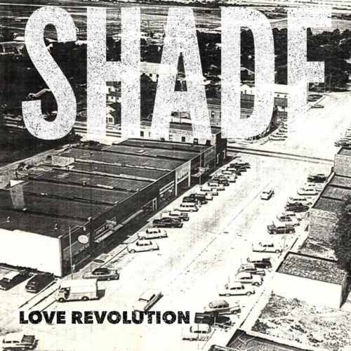Love Revolution Cover Art Blurred Background