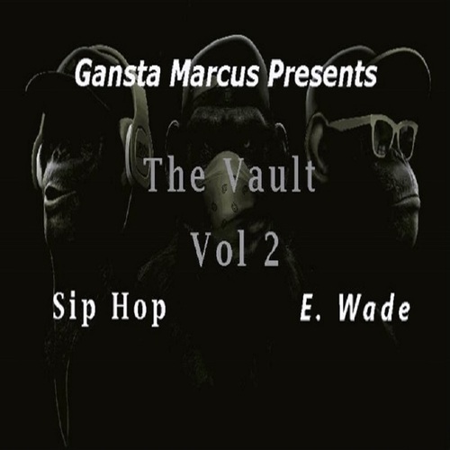 The Vault, Vol. 2 (Swagg Edition) Cover Art Blurred Background