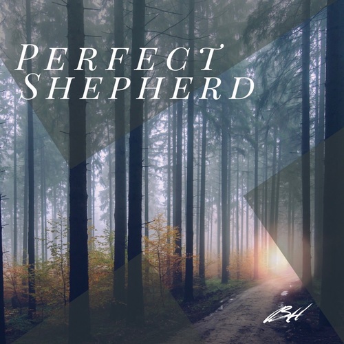 Perfect Shepherd Cover Art Blurred Background