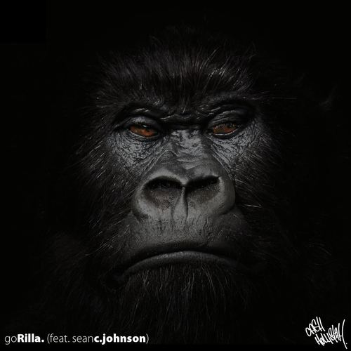 Gorilla. Cover Art Blurred Background