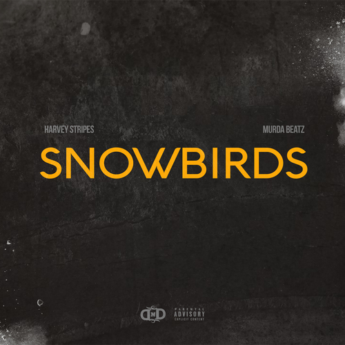 Snowbirds Cover Art Blurred Background