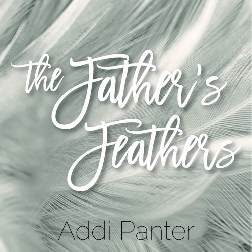 The Father's Feathers Cover Art Blurred Background