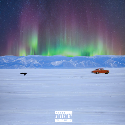 Cut Dog Music Cover Art Blurred Background