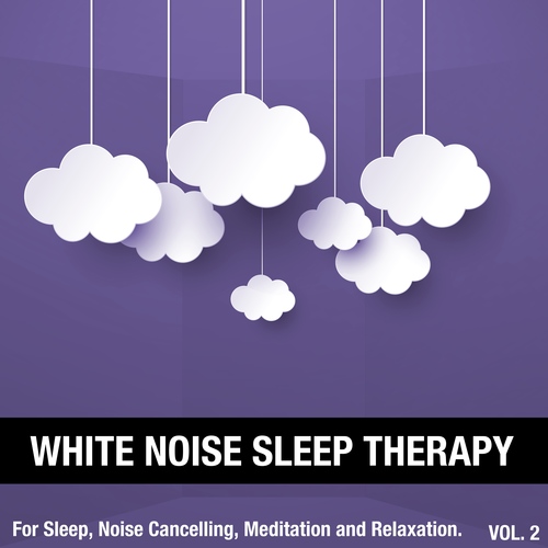 White Noise Sleep Therapy, Vol. 2 (For Sleep, Noise Cancelling, Meditation and Relaxation) Cover Art Blurred Background