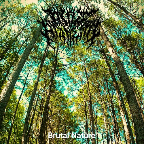 Brutal Nature Cover Art Blurred Background