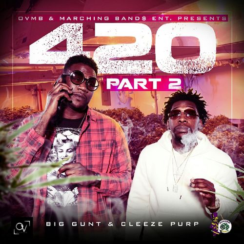 420, Pt. 2 Cover Art Blurred Background