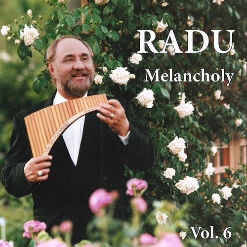 Amazing Panflute, Vol. 6 (Melancholy) Cover Art Blurred Background