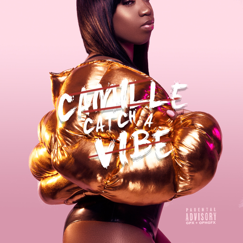 Catch a Vibe Cover Art Blurred Background