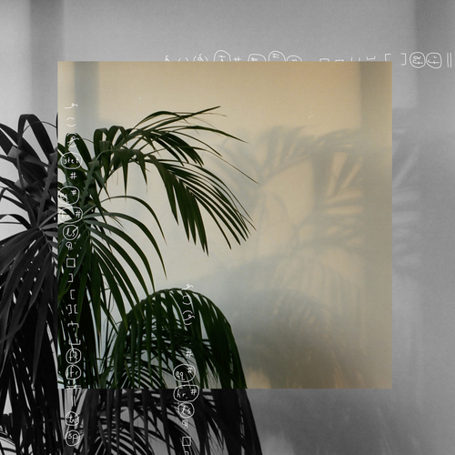 Musings Cover Art Blurred Background