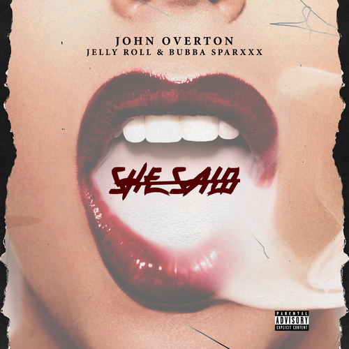 She Said Cover Art Blurred Background