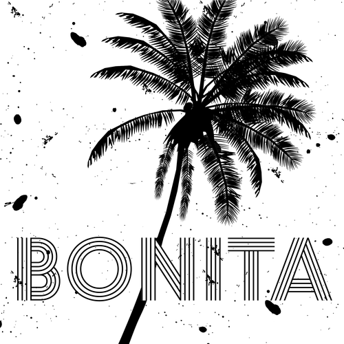 Bonita Cover Art Blurred Background