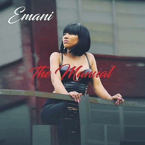 The Manual Cover Art Blurred Background