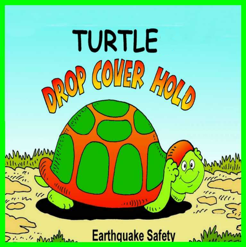 Turtle Drop Cover Hold Cover Art Blurred Background