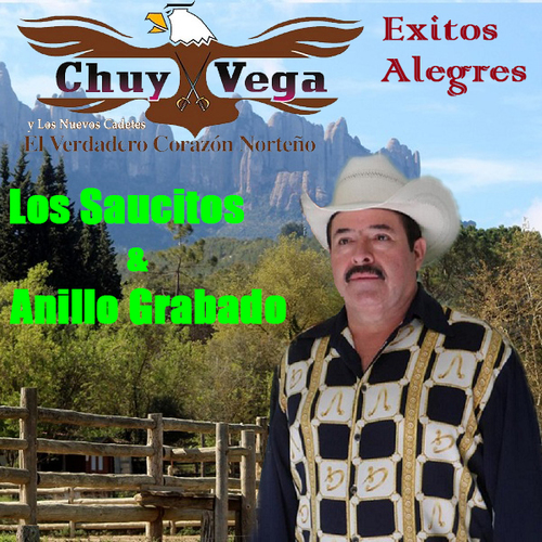 Los Saucitos & Anillo Grabado Cover Art Blurred Background