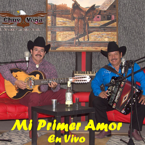 Mi Primer Amor (En Vivo) Cover Art Blurred Background