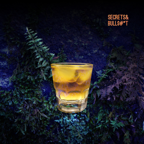 Secrets & Bullshit Cover Art Blurred Background