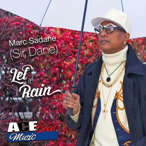 Let It Rain (Paradise Mix) Cover Art Blurred Background
