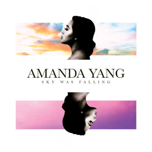 Sky Was Falling Cover Art Blurred Background