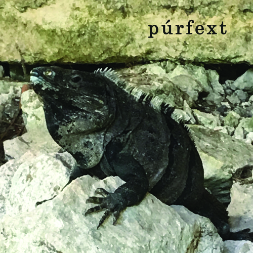 Purfext Cover Art Blurred Background