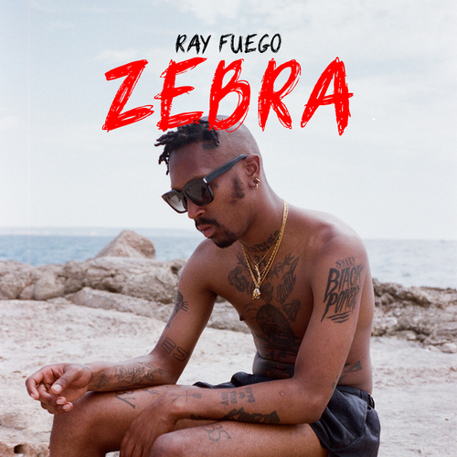 Zebra Cover Art Blurred Background