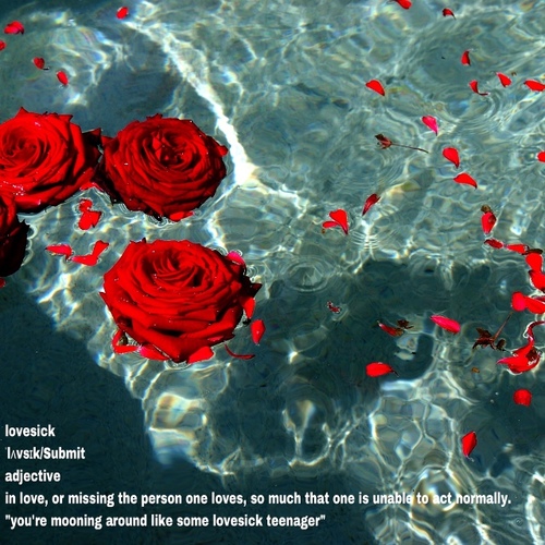 Love$ick Cover Art Blurred Background