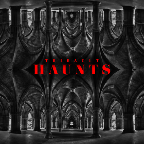 Haunts Cover Art Blurred Background