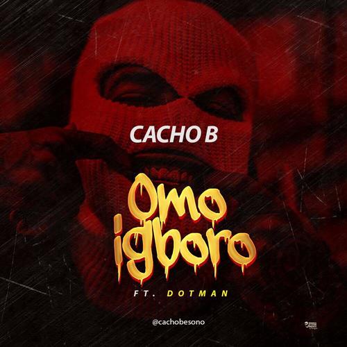 Omo Igboro Cover Art Blurred Background