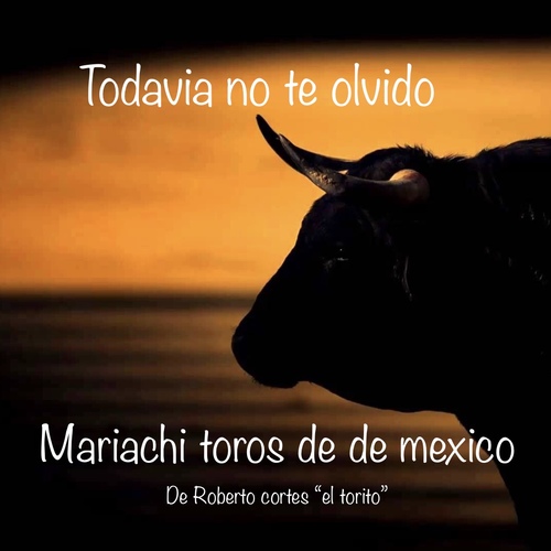 Todavia No Te Olvido Cover Art Blurred Background