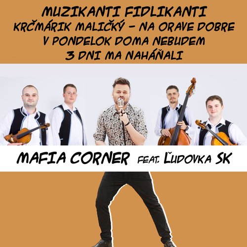 Muzikanti Fidlikanti Cover Art Blurred Background