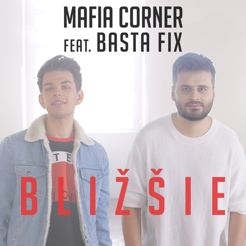 Blizsie Cover Art Blurred Background
