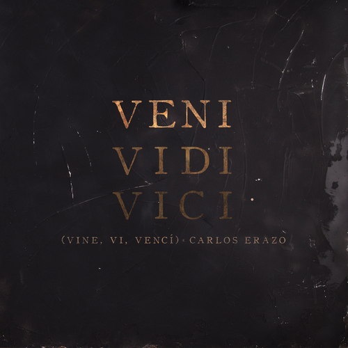 Veni Vidi Vici (Vine, Ví, Vencí) Cover Art Blurred Background