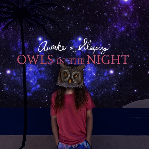 Owls in the Night Cover Art Blurred Background