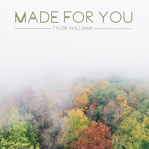 Made for You Cover Art Blurred Background