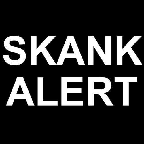 Skank Alert Cover Art Blurred Background